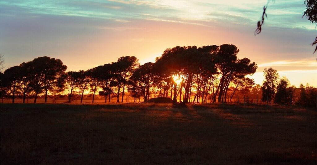 Un amanecer en La Pampa argentina