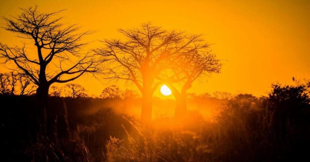 Atardecer en Tarangire