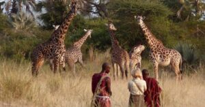 La magia de un safari a pie en Arusha