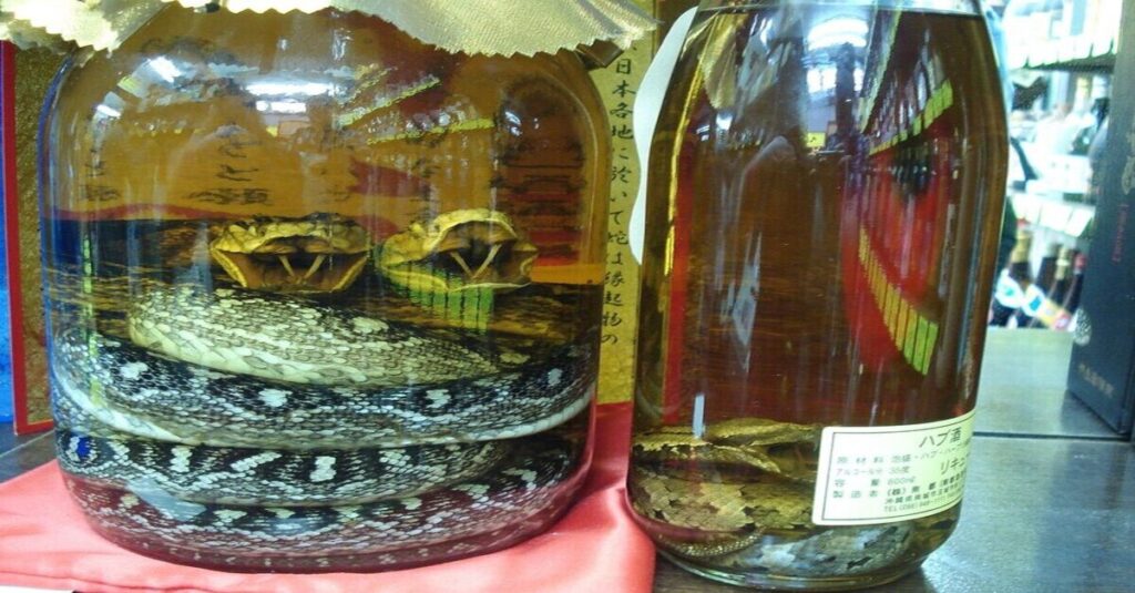 Botellas de habushu con serpientes en su interior