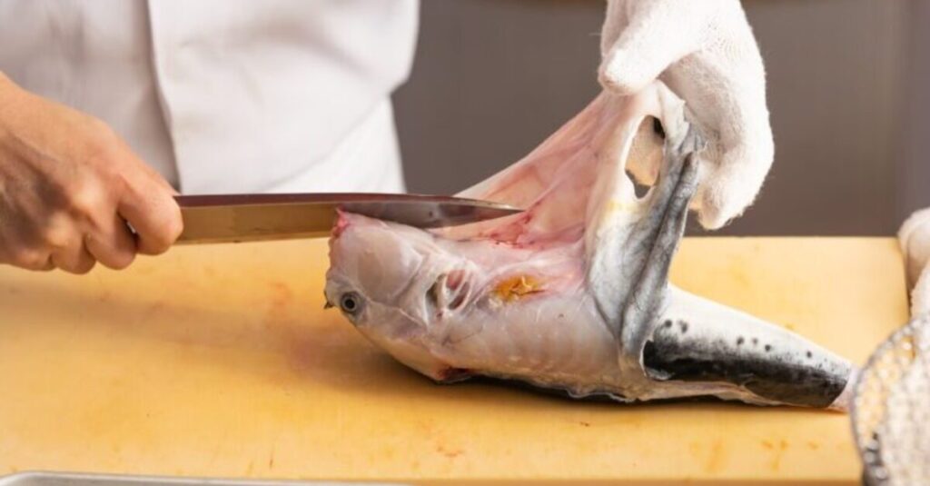 Chef experto en gastronomía japonesa cortando una pieza de fugu