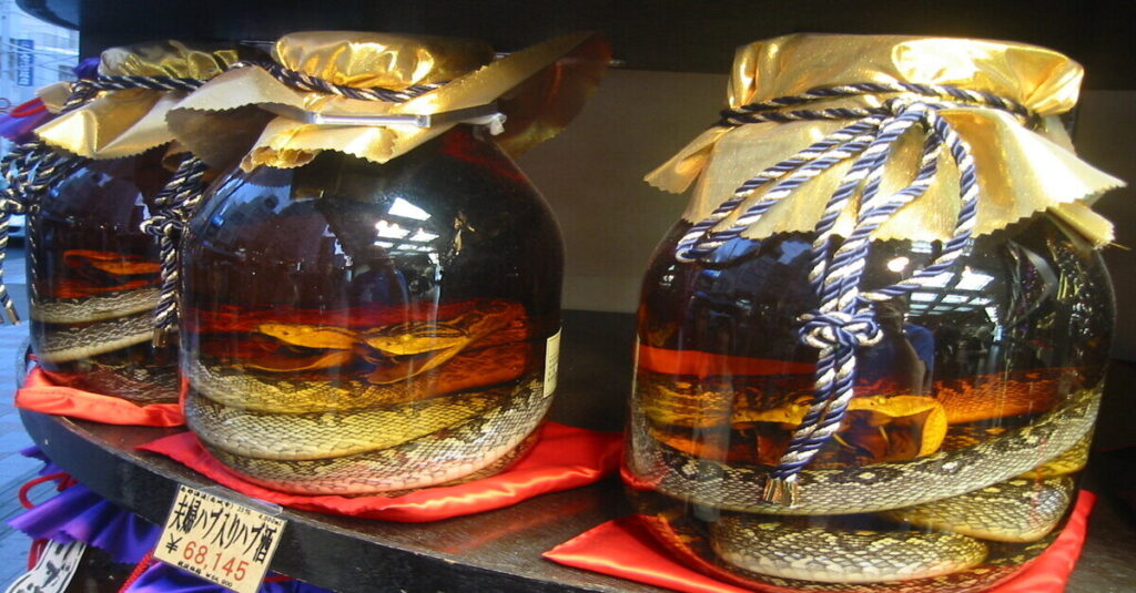 Botellas de habushu con serpientes en su interior
