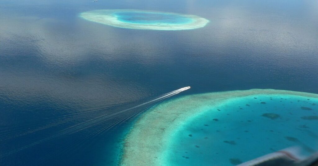 El fascinante desove del coral en Maldivas 4 Cayos de corales en Maldivas