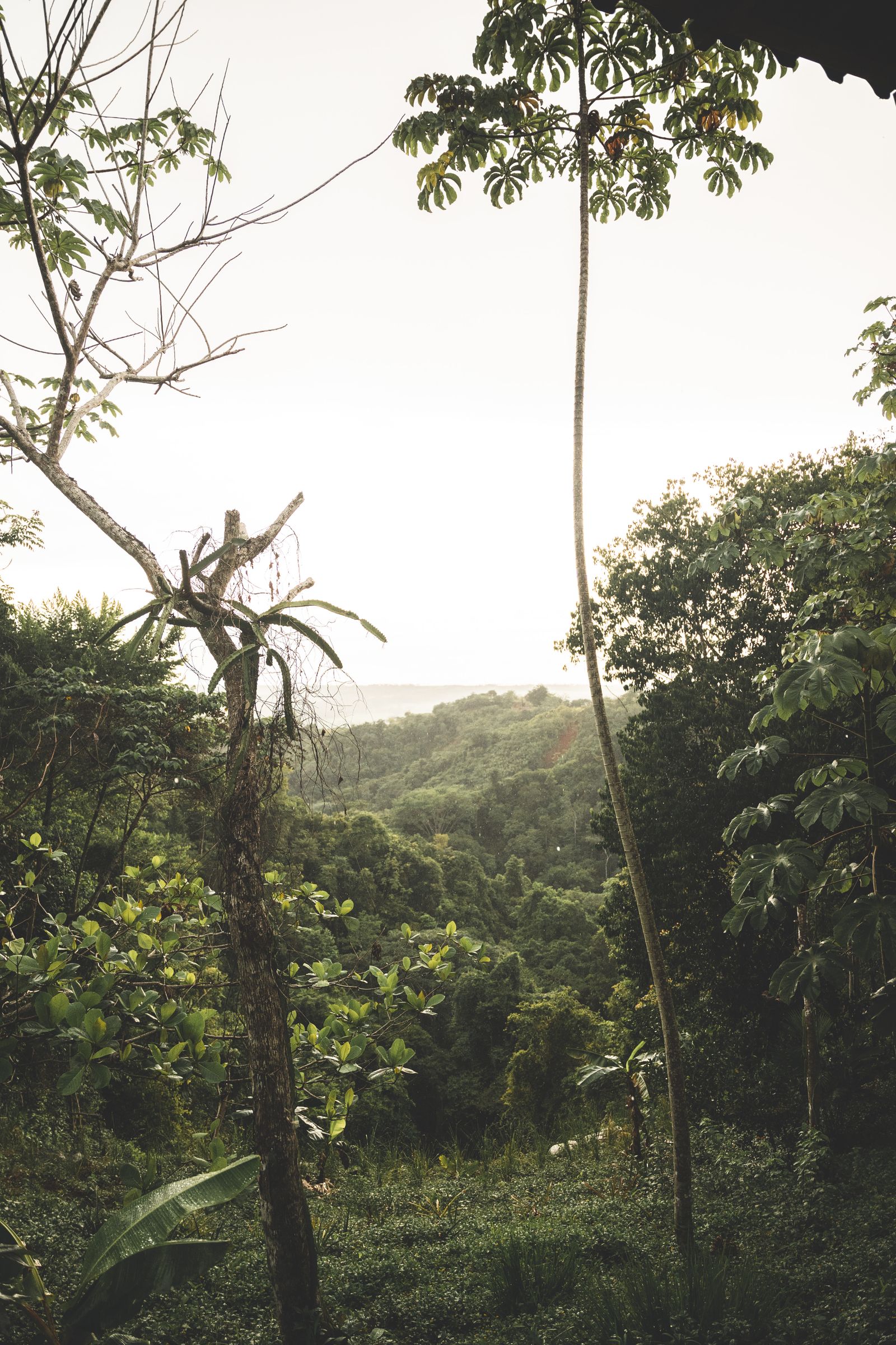Inspiración visual para ruta por costa rica en 14 días