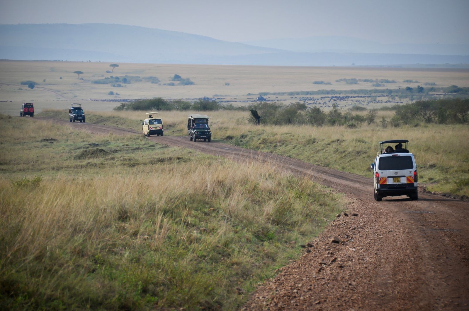 Botsuana o Tanzania: qué destino elegir 2 Inspiración para comparar Botsuana y Tanzania