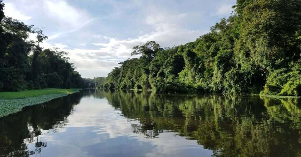 Paisaje de la Reserva Nacional Pacaya Samiria
