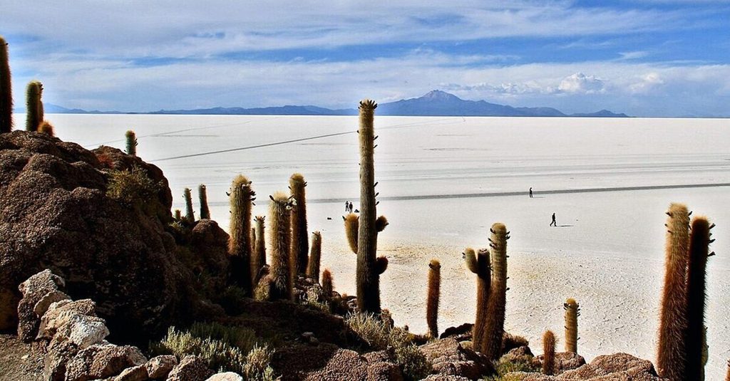 Vista del Salar de Uyuni desde la Isla Incahuasi
